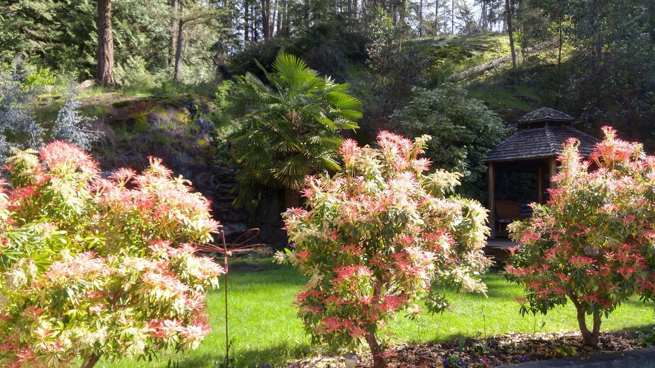 Sunshine Coast Treetop B&B Sechelt Exterior photo